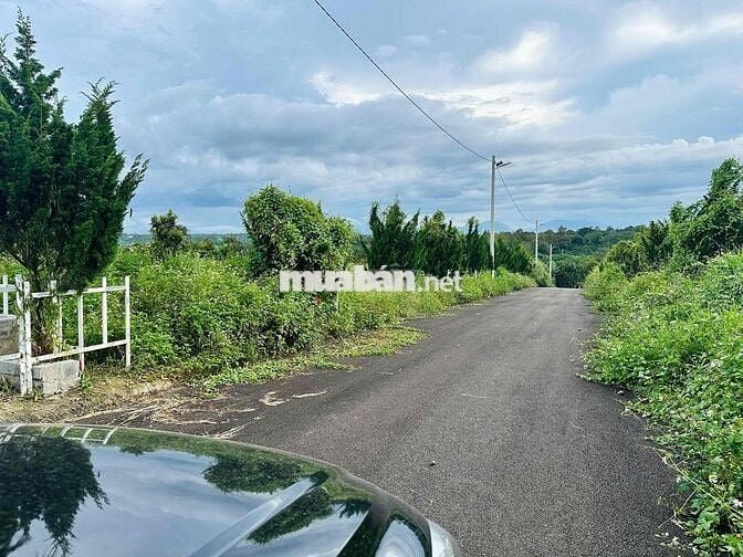 Lô đất thổ cư 550tr Rào sẳn cây ăn trái Lộc An