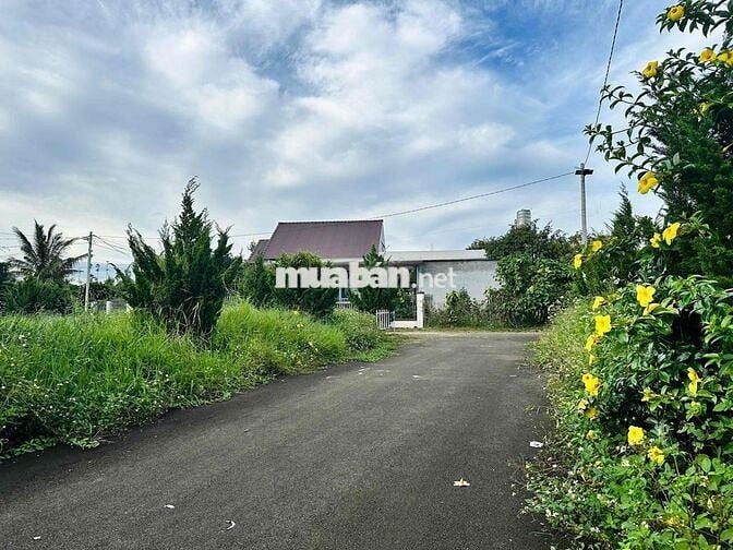 Lô đất thổ cư 550tr Rào sẳn cây ăn trái Lộc An