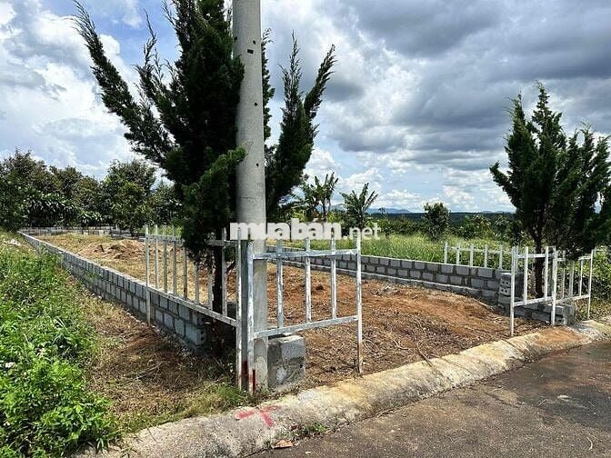 Lô đất thổ cư 550tr Rào sẳn cây ăn trái Lộc An