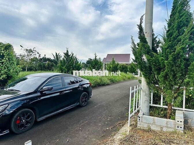 Lô đất thổ cư 550tr Rào sẳn cây ăn trái Lộc An