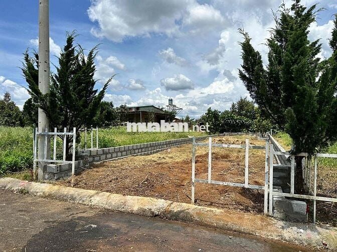 Lô đất thổ cư 550tr Rào sẳn cây ăn trái Lộc An