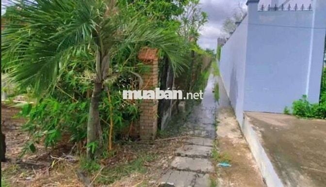 Tôi chính chủ bán lô đất mặt tiền Quốc lộ 50 19m2 nở hậu, đất đẹp !!