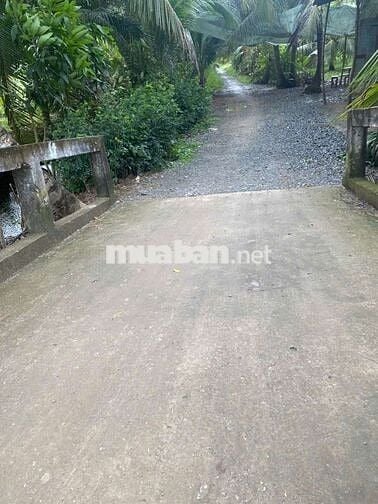 Hàng Ngộp. Siêu Rẻ. HXH Đường DT855. Bình Thành. Giồng Trôm. Bến Tre