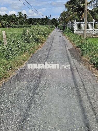 Chính chủ ngộp,bán gấp,Tiền Giang ,thị trấn Vĩnh Bình