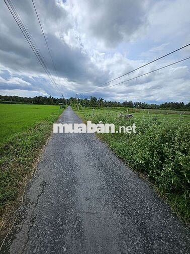 Chính chủ ngộp,bán gấp,Tiền Giang ,thị trấn Vĩnh Bình