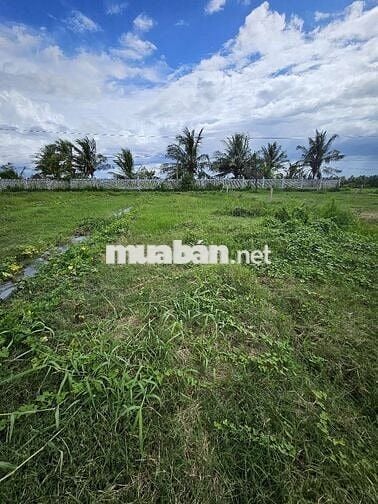 Chính chủ ngộp,bán gấp,Tiền Giang ,thị trấn Vĩnh Bình