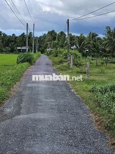 Chính chủ ngộp,bán gấp,Tiền Giang ,thị trấn Vĩnh Bình