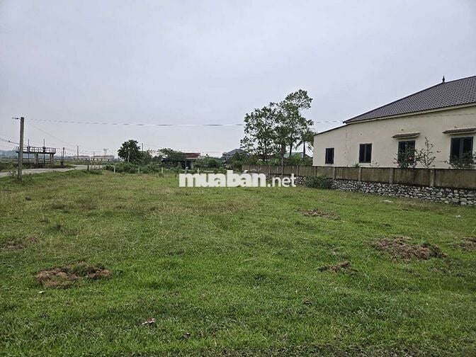 Bán rẻ lô đất Thạch Xuân -  Thạch Hà