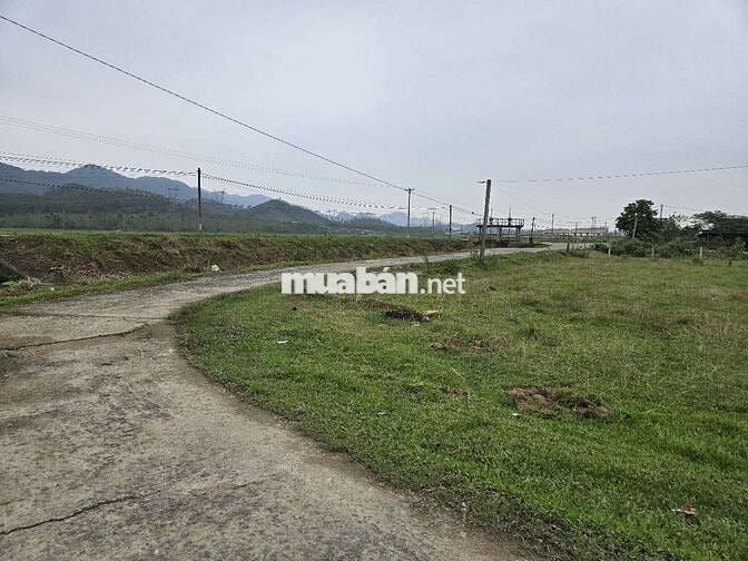 Bán rẻ lô đất Thạch Xuân -  Thạch Hà