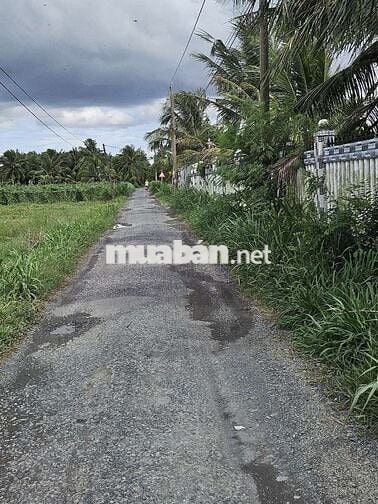Chính chủ ngộp,bán gấp,Tiền Giang ,thị trấn Vĩnh Bình