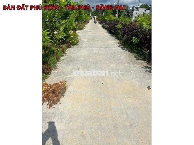 Cần bán lô đất tại ấp 4 Phú Điền Tân Phú giá chỉ 1 tỷ950 triệu bớt lộc