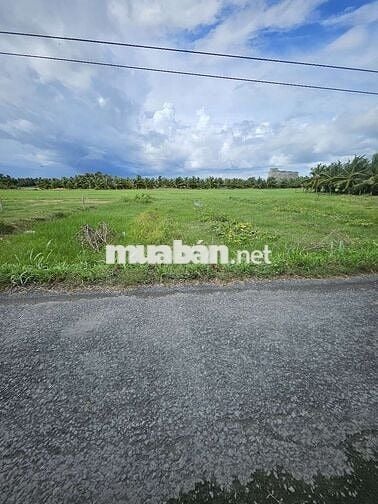 Chính chủ ngộp,bán gấp,Tiền Giang ,thị trấn Vĩnh Bình