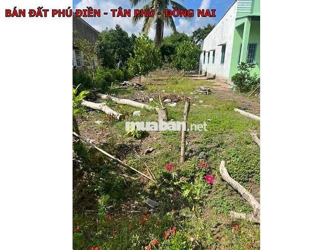 Cần bán lô đất tại ấp 4 Phú Điền Tân Phú giá chỉ 1 tỷ950 triệu bớt lộc