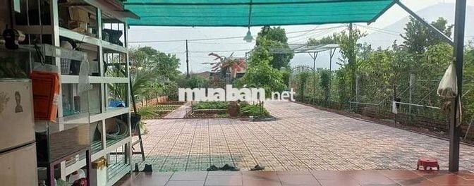 “Một góc sống xanh đúng nghĩa”