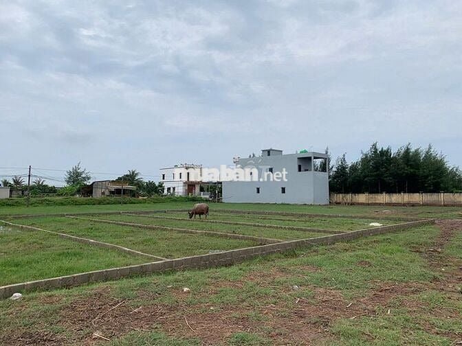 Bán đất tại Xã Nam Phú, Tiền Hải, Thái Bình (nay xã Hưng Phú,HƯNG YÊN)