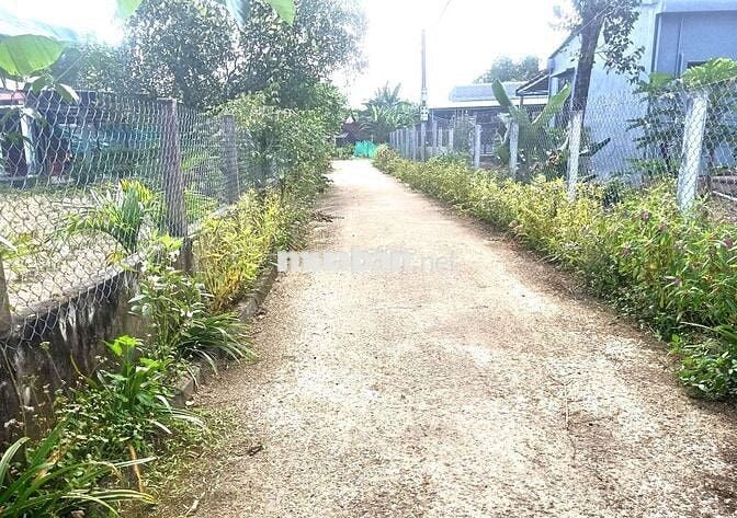 Kẹt tiền bán nhanh lô đất 150m2 ở quê Phú Quế Sơn Đà Nẵng