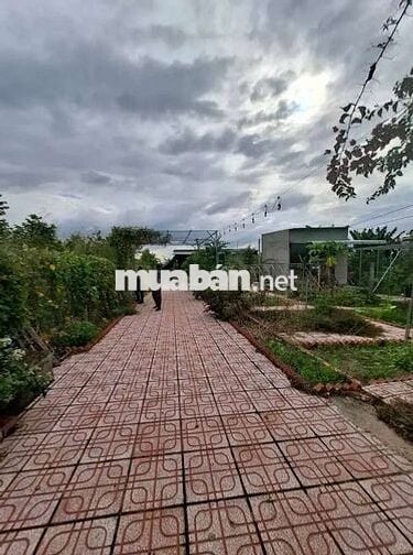 “Một góc sống xanh đúng nghĩa”