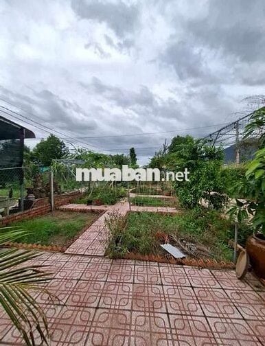 “Một góc sống xanh đúng nghĩa”