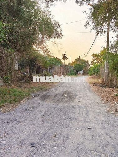 Bán nhà Mới Xây_ Phú Hoà Đông-Củ Chi_1,9 tỷ