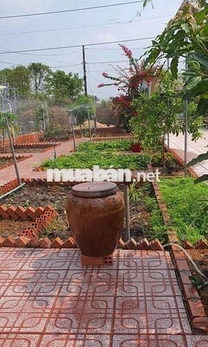 “Một góc sống xanh đúng nghĩa”