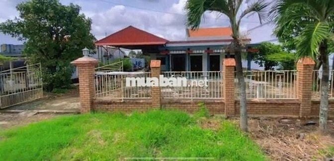 Tôi chính chủ bán lô đất mặt tiền Quốc lộ 50 19m2 nở hậu, đất đẹp !!