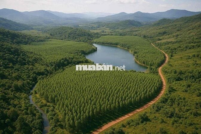 CẦN CHUYỂN NHƯỢNG DỰ ÁN 423,21 HA – TIỀM NĂNG LỚN – PHÁP LÝ ĐẦY ĐỦ – G