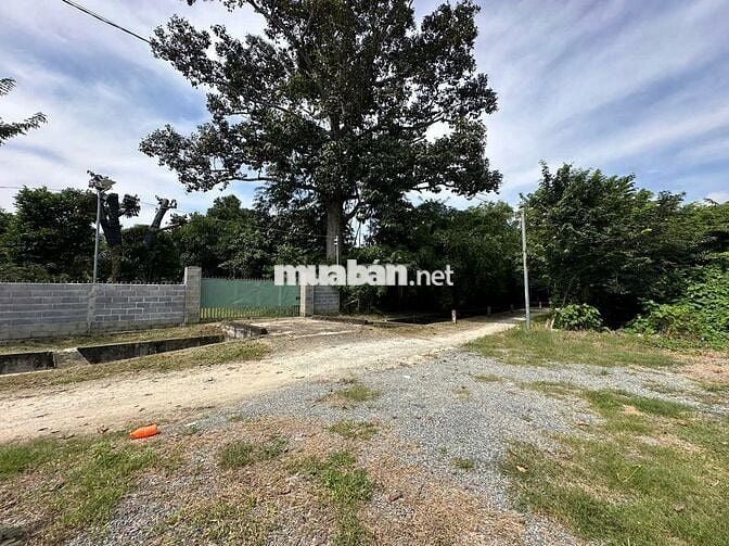 Chính chủ bán đất giá rẻ KDC An Định, Diên Phước