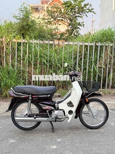 Honda Dream Thái Nâu Trắng