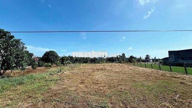 Bán lỗ lô đất gần nông trại Organic Farm 550m2 có 100TC