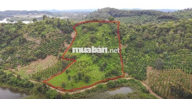 Chính chủ bán đất rẫy xã  Ea Bông  - Krong Ana _ Đăk Lăk