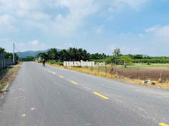 Bán lỗ lô đất gần nông trại Organic Farm 550m2 có 100TC