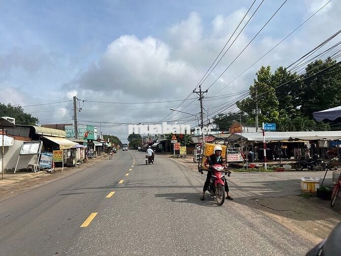 Bán Ngộp Đất Mặt Tiền Đối Diện KCN An Linh, 442m2 thổ cư Giá 650 Triệu