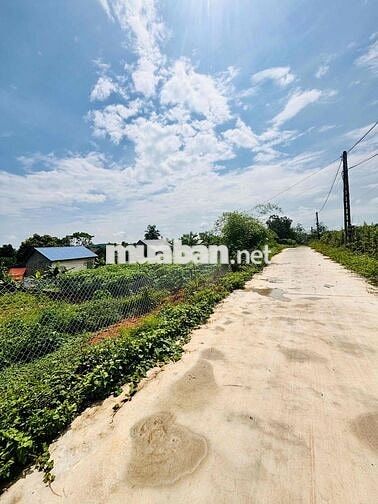 BÁN ĐẤT THANH BA PHÚ THỌ 1000m