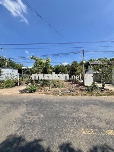 Bán Ngộp Đất Mặt Tiền Đối Diện KCN An Linh, 442m2 thổ cư Giá 650 Triệu