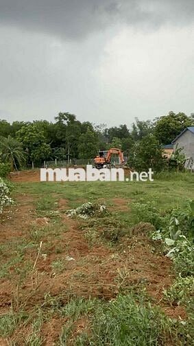 BÁN ĐẤT THANH BA PHÚ THỌ 1000m