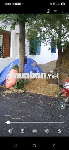 BÁN MẢNH ĐẤT TÂM HUYẾT GIÁ ĐẦU TƯ