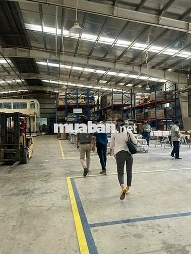 Bán kho xưởng 17.000m2 tại KCN Hòa Bình, Long An, giá bán: 120 tỷ (TL)