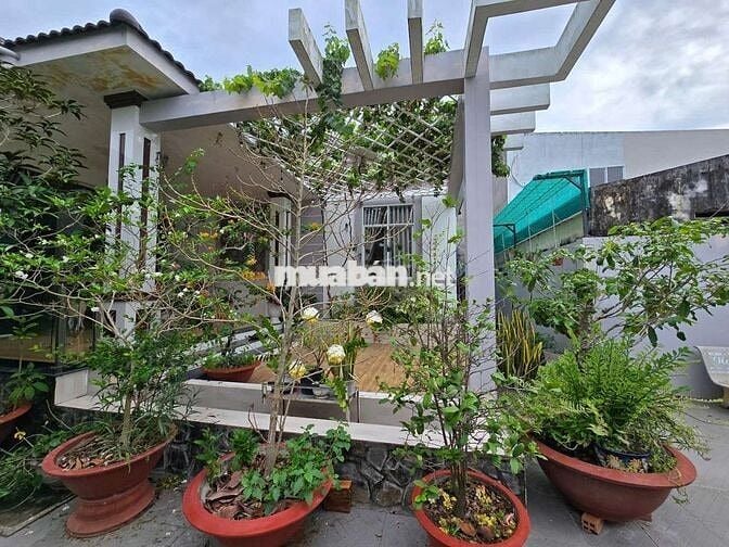 Bán Biệt thự 500m2 tại trung Tâm P2, Tp Trà Vinh, cách Vincom 100m