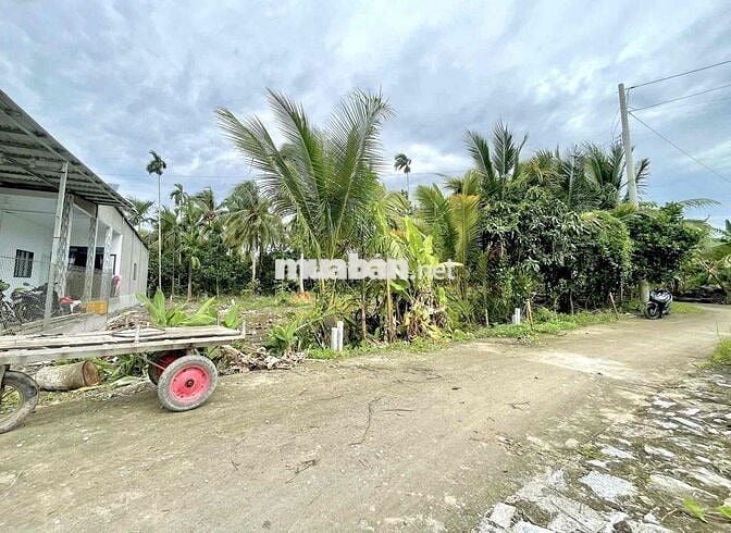 Nền 5x23 - 113m2 ONT - Cách Chợ Cái Tắc 5Km - Lộ Oto 4m - Giá 490Tr