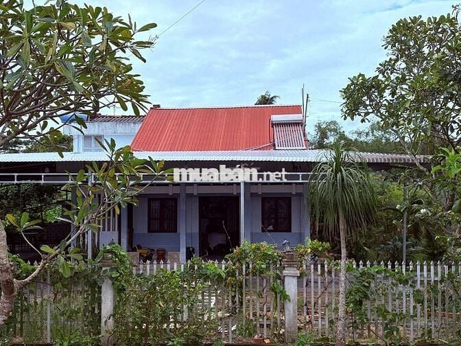 Mặt tiền 2388m2 quốc lộ 57 chợ lách Bến Tre