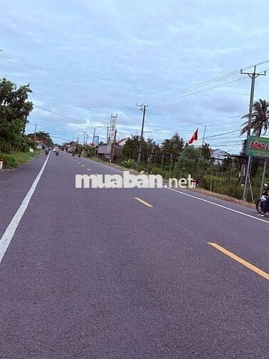 Mặt tiền 2388m2 quốc lộ 57 chợ lách Bến Tre