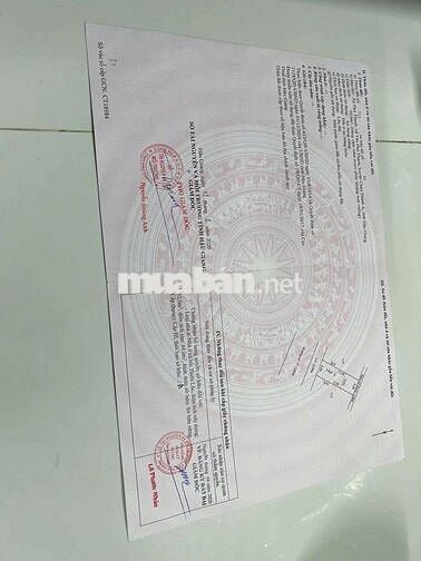 Cần bán gấp căn nhà ở xã hội khu dc thiên lộc