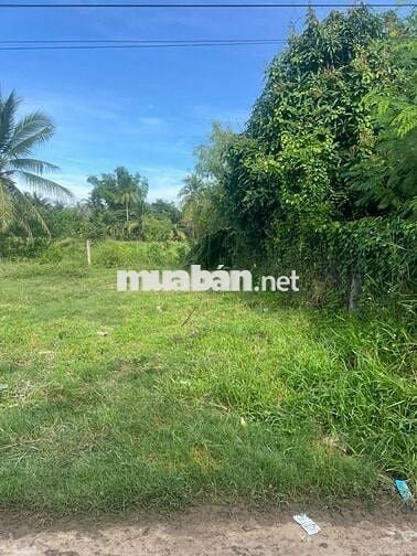 FULL THỔ CƯ - NGANG 7M - Xây Nhà Quá Đẹp