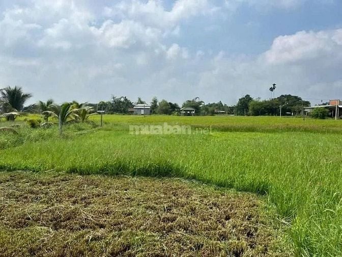 Công ty Đấu giá hợp danh Lam Sơn Sài Gòn THÔNG BÁO ĐẤU GIÁ TÀI SẢN