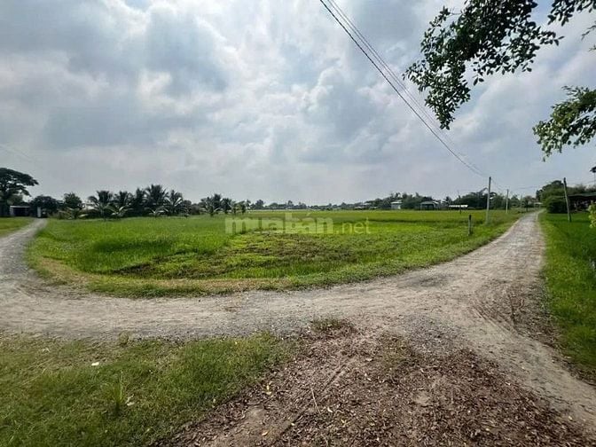 Công ty Đấu giá hợp danh Lam Sơn Sài Gòn THÔNG BÁO ĐẤU GIÁ TÀI SẢN