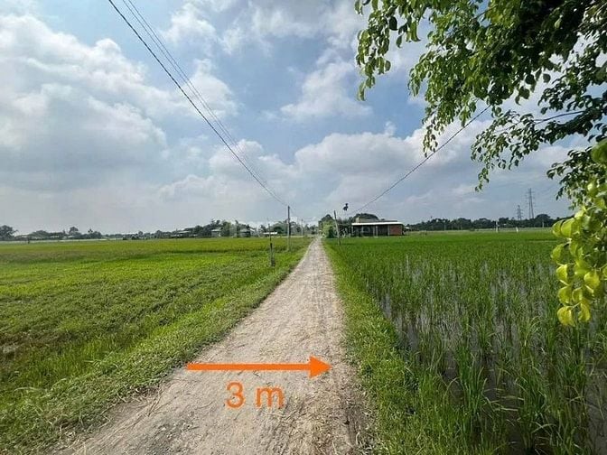 Công ty Đấu giá hợp danh Lam Sơn Sài Gòn THÔNG BÁO ĐẤU GIÁ TÀI SẢN