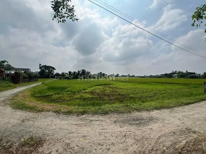 Công ty Đấu giá hợp danh Lam Sơn Sài Gòn THÔNG BÁO ĐẤU GIÁ TÀI SẢN