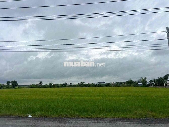 Đất chính chủ cần bán MT DT872B, 1ha có 2000 tc, chỉ hơn 9 tỉ