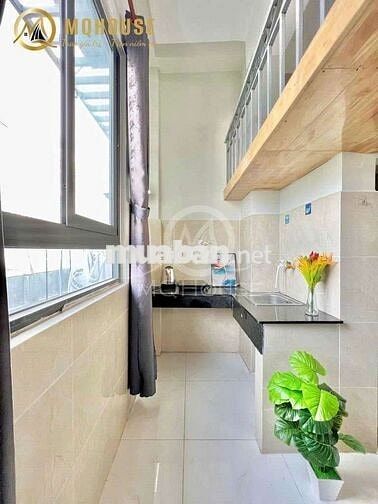 CHO THUÊ PHÒNG CÓ GÁC CAO – CỬA SỔ TRỜI SIÊU TO - THANG MÁY-TRỐNG SẴN.