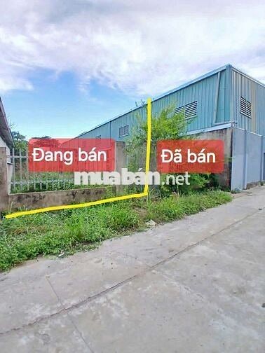 Bán đất lô B Đường vườn Thơm. 5*30=150m